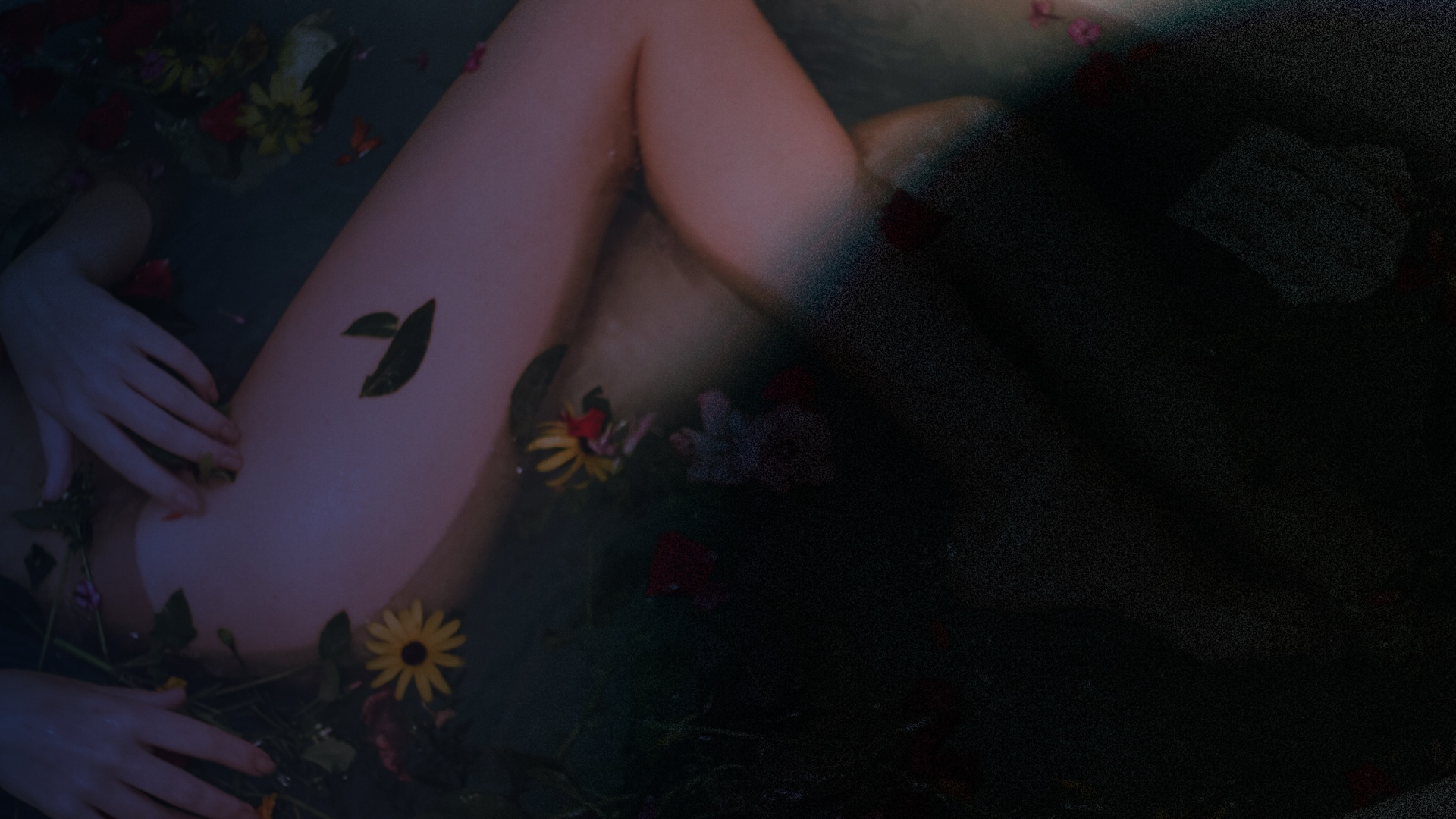 A person is lying in a bath surrounded by floating flowers and leaves, with their legs and hand partially visible in soft, dim lighting. The right side of the image fades into darkness.