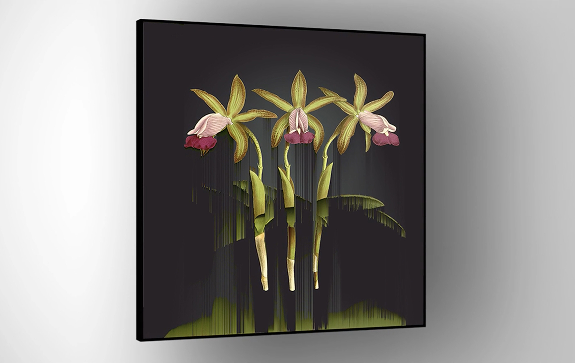A framed artwork featuring three green and pink orchid flowers with long stems, displayed against a dark background. Subtle vertical brushstroke effects extend downward from the flowers.