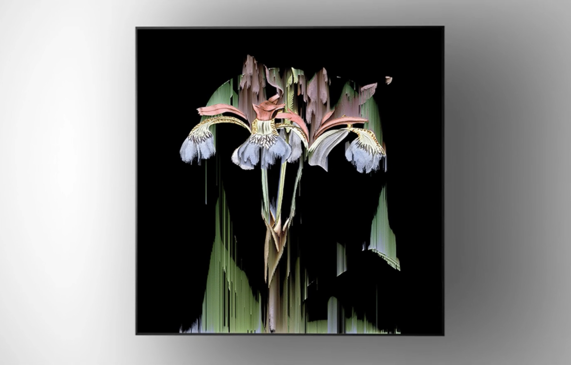 A digital artwork of three white flowers with pink centers on green stems, appearing distorted with vertical streaks, set against a black background and framed by a simple gray border.