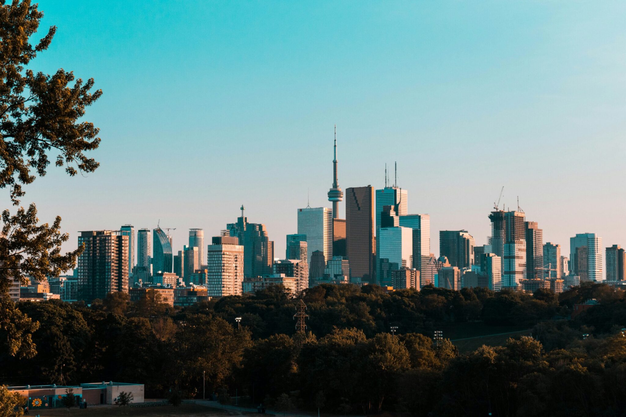 A city skyline at sunset, featuring a cluster of modern skyscrapers and a tall tower in the center, with trees and greenery in the foreground under a clear blue sky.